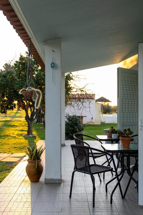 Na Quinta- Alojamento Rural Com Piscina De Agua Salgada Poceirao Exteriör bild