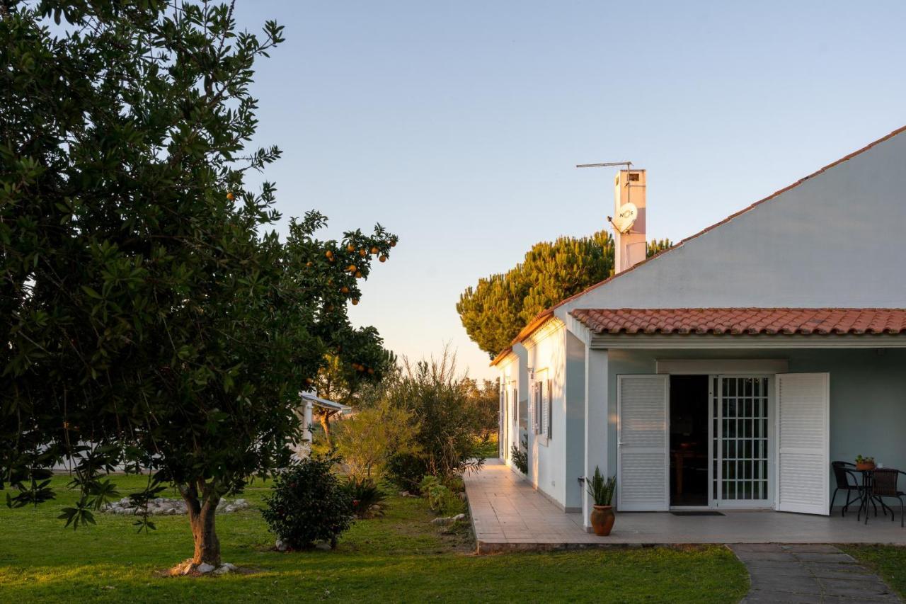Na Quinta- Alojamento Rural Com Piscina De Agua Salgada Poceirao Exteriör bild