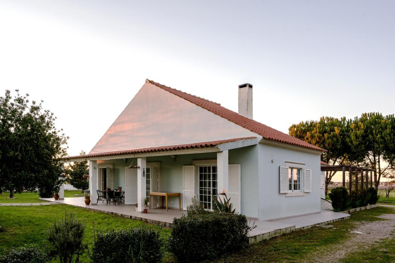 Na Quinta- Alojamento Rural Com Piscina De Agua Salgada Poceirao Exteriör bild