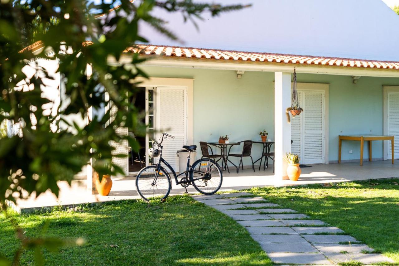 Na Quinta- Alojamento Rural Com Piscina De Agua Salgada Poceirao Exteriör bild