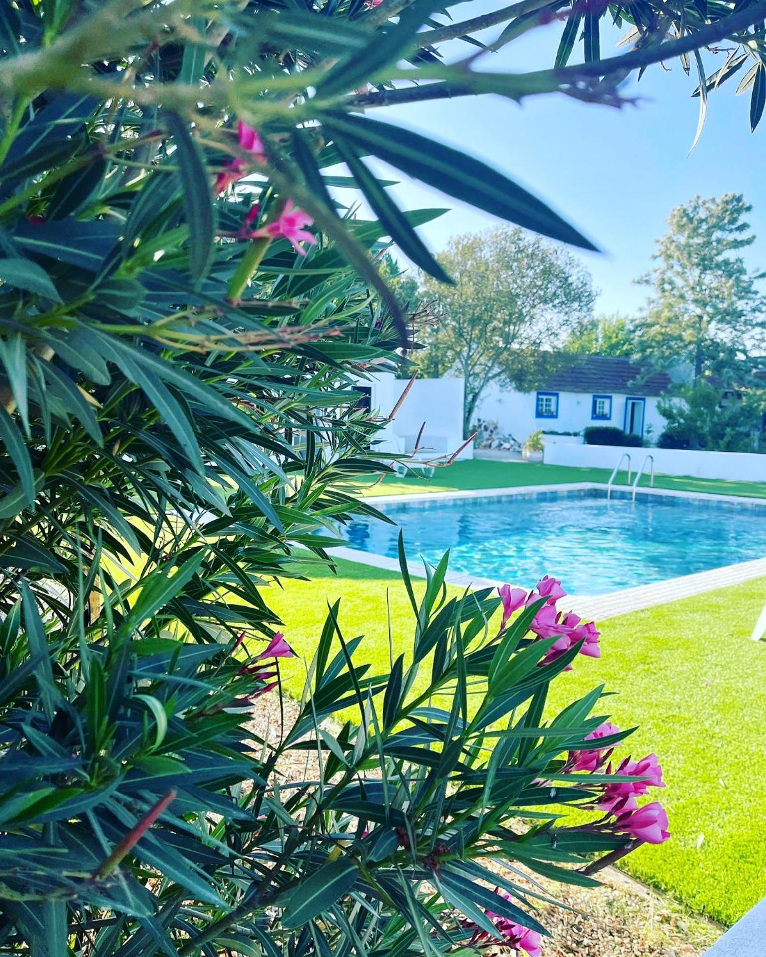 Na Quinta- Alojamento Rural Com Piscina De Agua Salgada Poceirao Exteriör bild